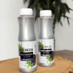 Ежевика Richeza Конц