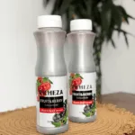 Смородина Richeza Конц