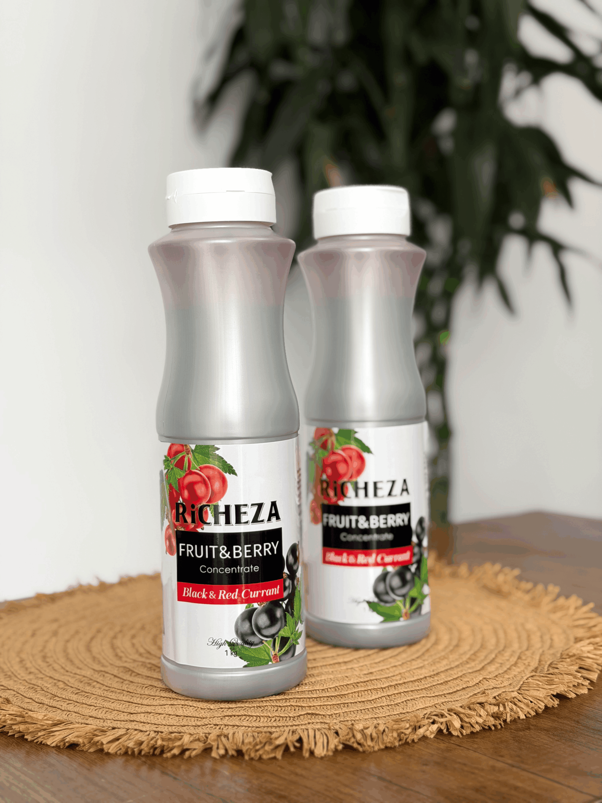 Смородина Richeza Конц